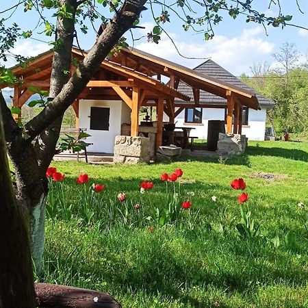 Вилла Casa Livada Bunicii Тыргу-Окна Экстерьер фото
