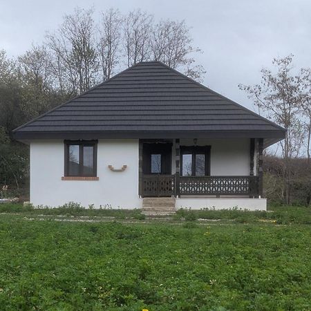 Вилла Casa Livada Bunicii Тыргу-Окна Экстерьер фото