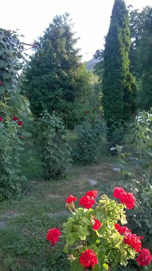 Вилла Casa Livada Bunicii Тыргу-Окна Экстерьер фото
