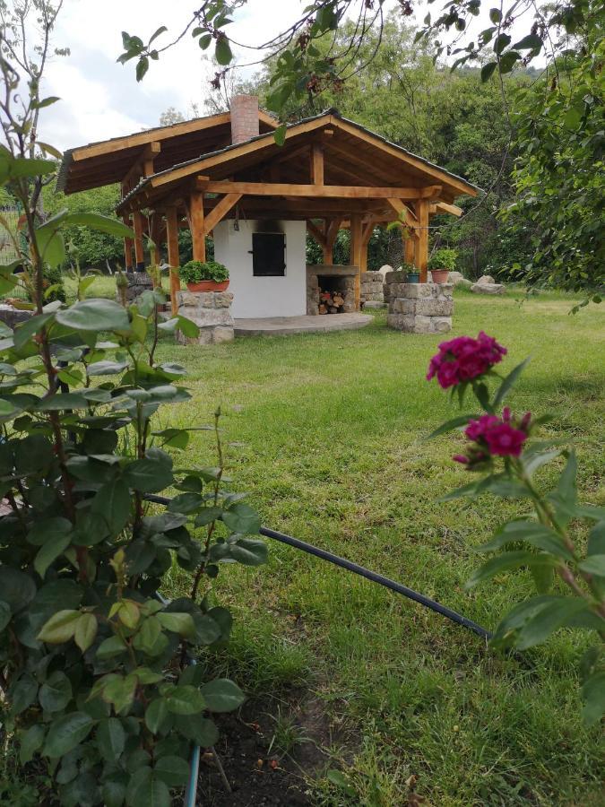 Вилла Casa Livada Bunicii Тыргу-Окна Экстерьер фото