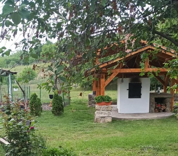 Вилла Casa Livada Bunicii Тыргу-Окна Экстерьер фото